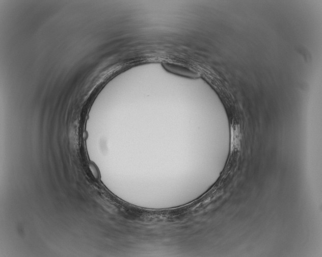 X0000110950291200907101313