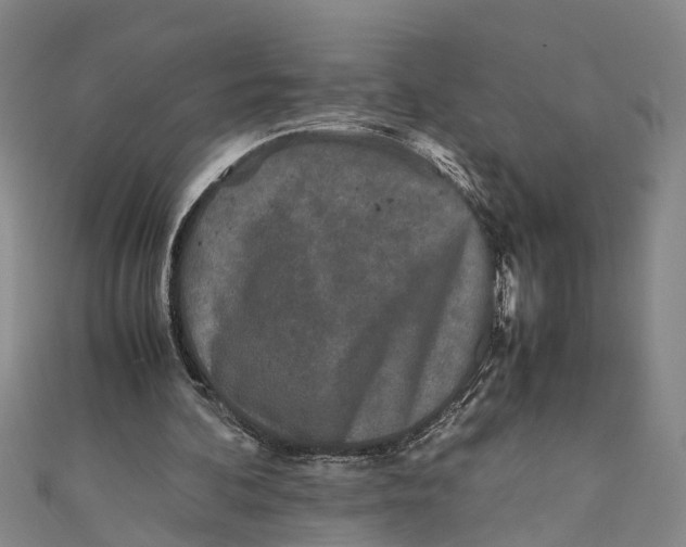 X0000110950292200907101313