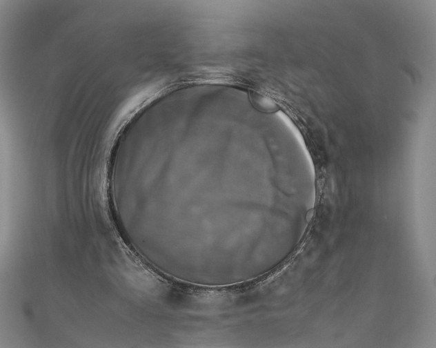 X0000110950293200907101313