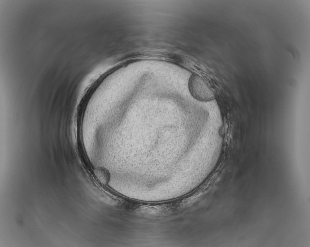 X0000110950294200907101313