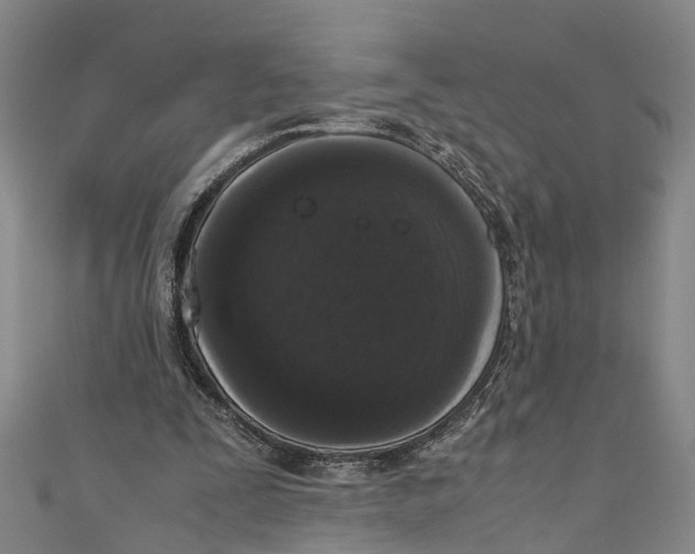 X0000110950295200907101313