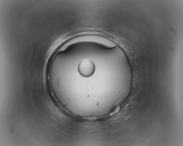 X0000110950296200907101313