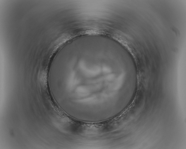 X0000110950297200907101313