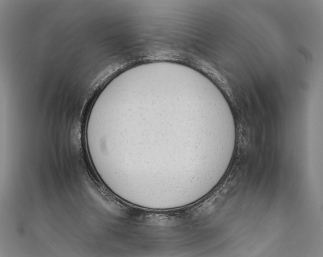 X0000110950298200907101313