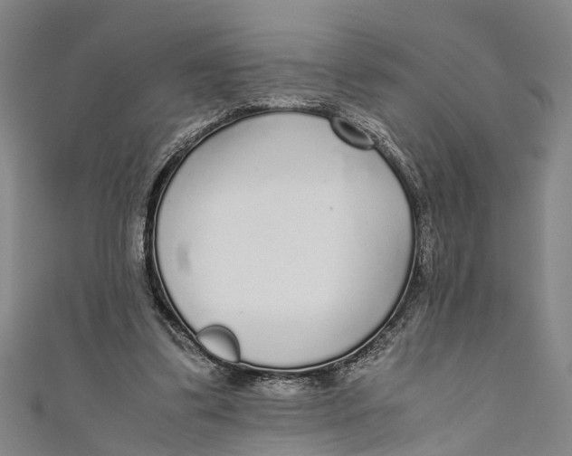 X0000110950299200907101313