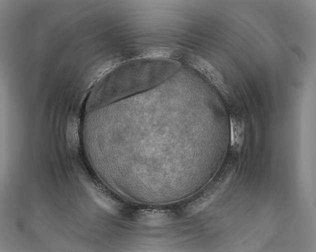 X0000110950300200907101313