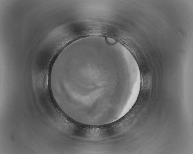 X0000110950301200907101313