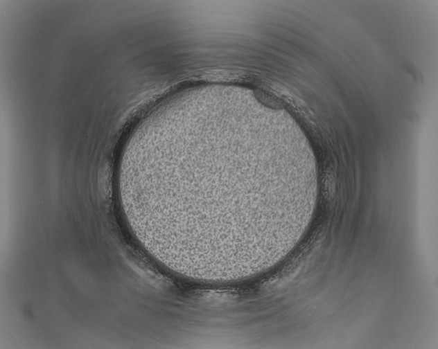 X0000110950303200907101313