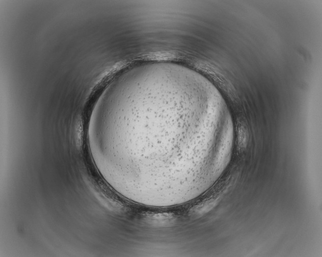 X0000110950304200907101313