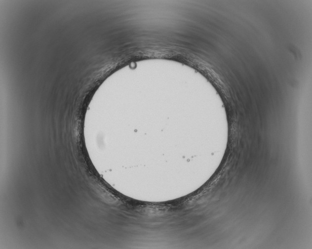 X0000110950305200907101313