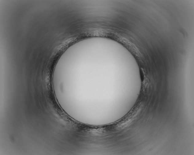 X0000110950306200907101312