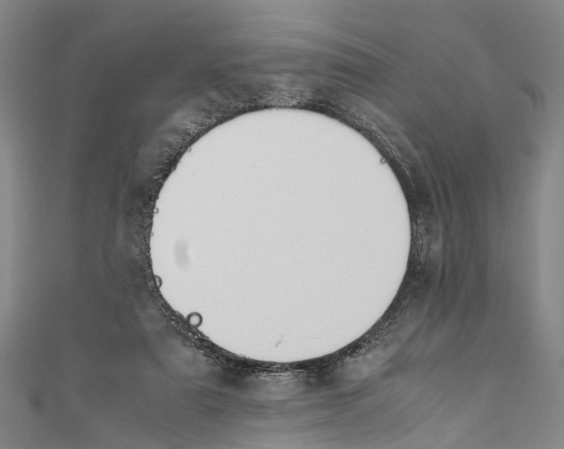 X0000110950307200907101312