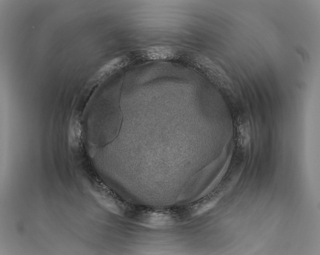 X0000110950308200907101312