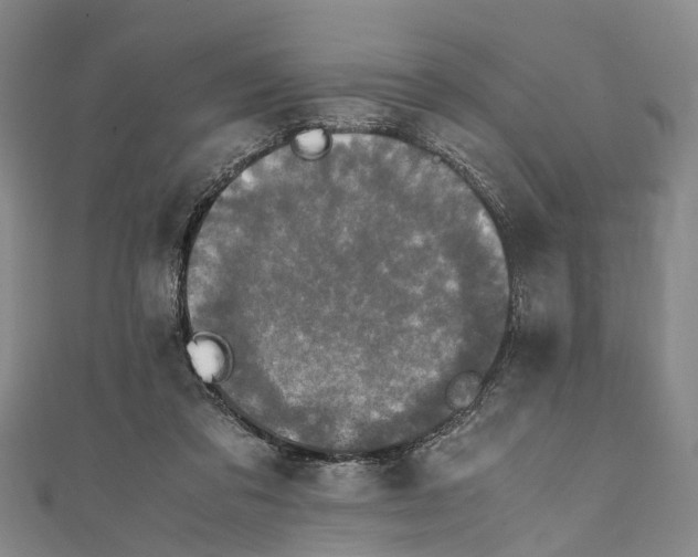 X0000110950309200907101312