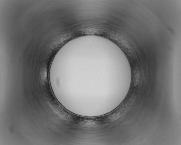 X0000110950310200907101312