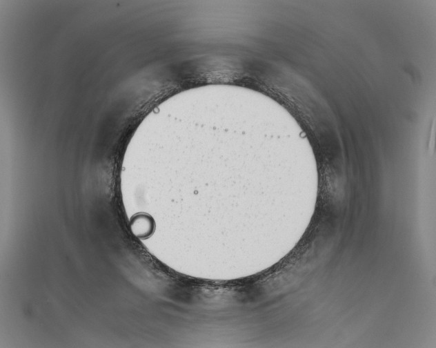 X0000110950311200907101312