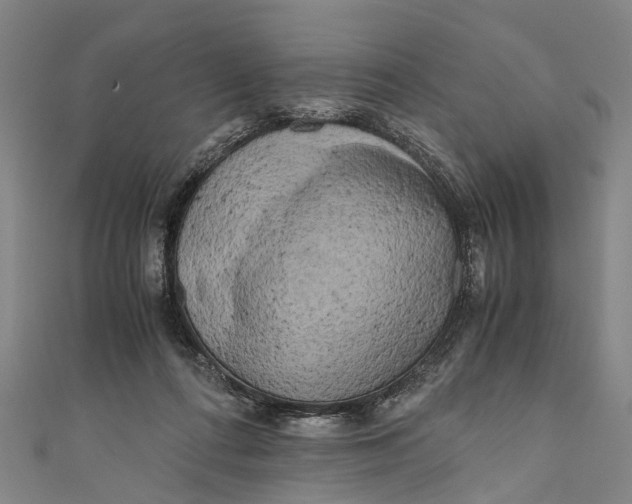 X0000110950312200907101312