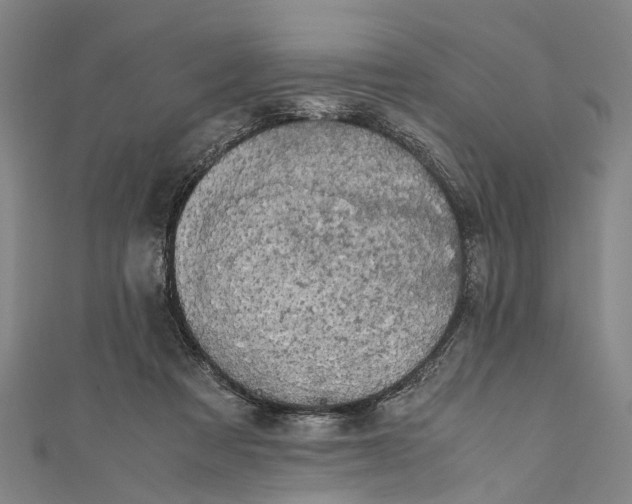 X0000110950313200907101312