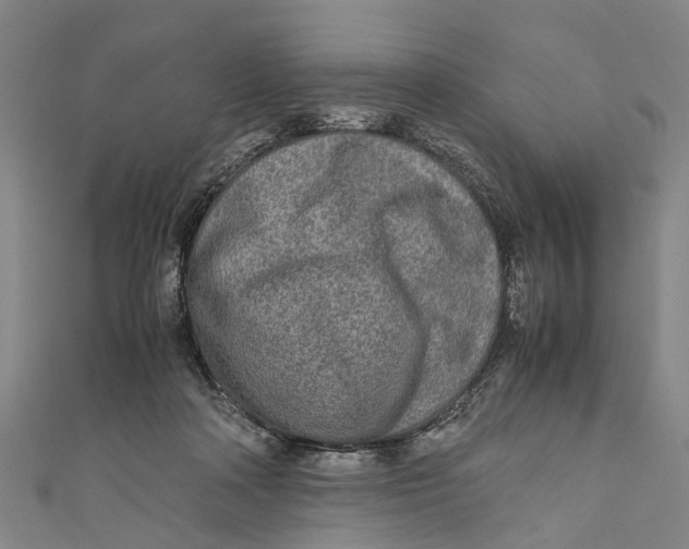 X0000110950314200907101312