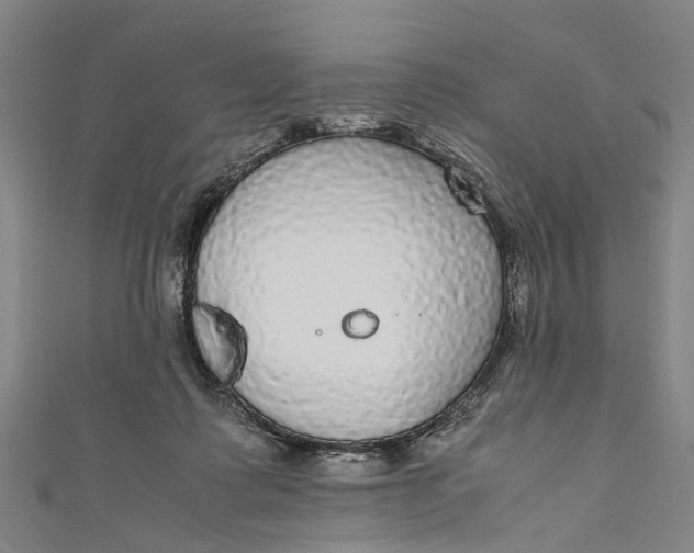 X0000110950315200907101312