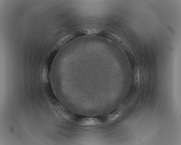 X0000110950316200907101312