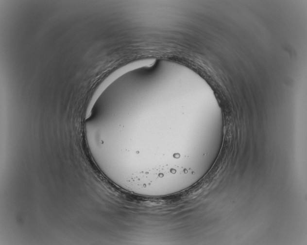 X0000110950317200907101312