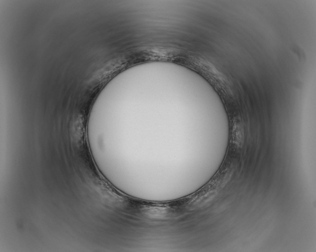 X0000110950318200907101312