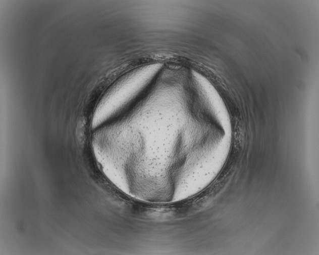 X0000110950319200907101312