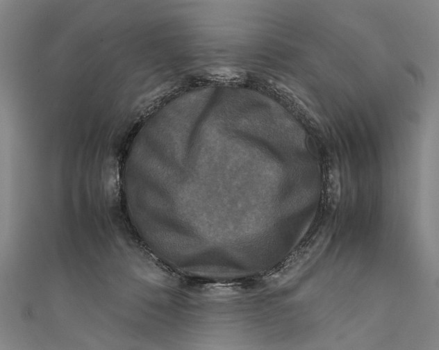 X0000110950320200907101312