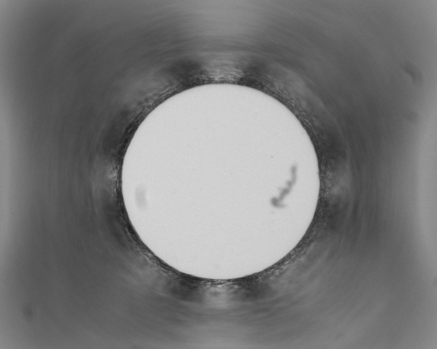 X0000110950321200907101312