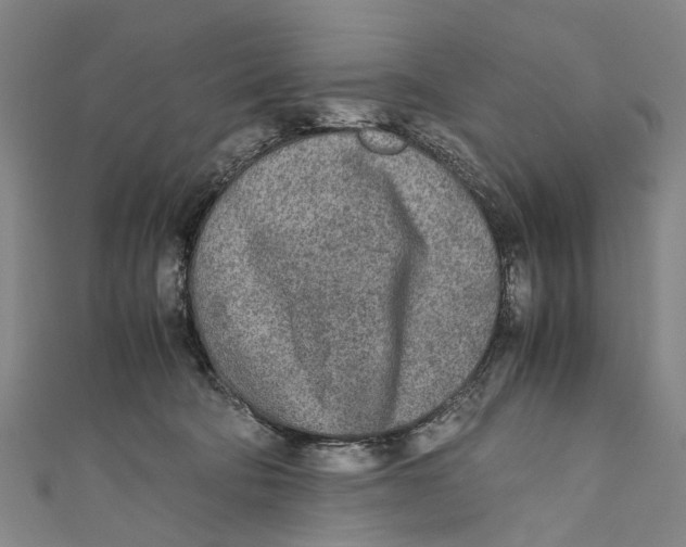 X0000110950322200907101312