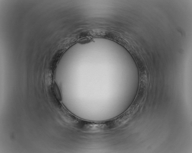 X0000110950323200907101312