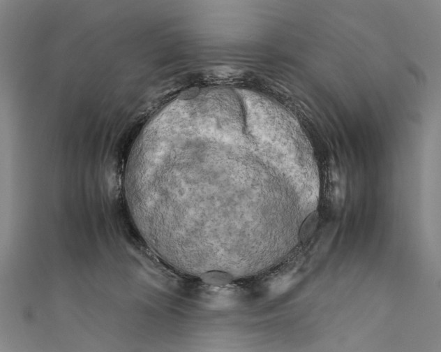 X0000110950324200907101312