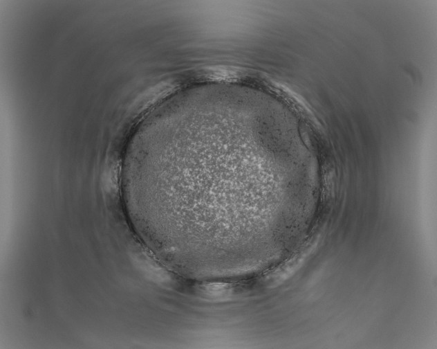 X0000110950325200907101312