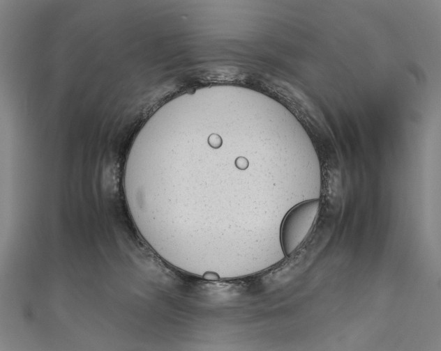 X0000110950326200907101312