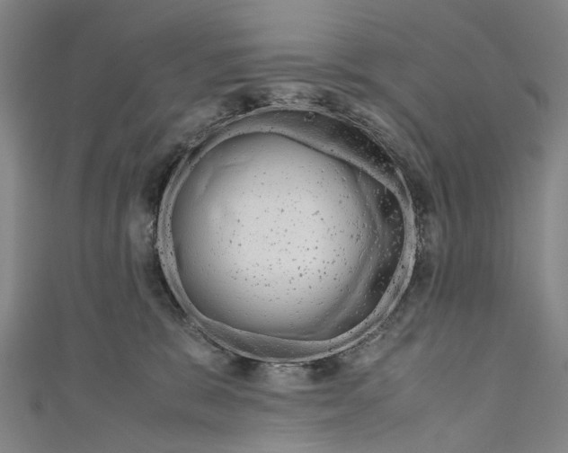 X0000110950327200907101312