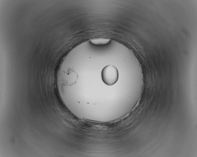 X0000110950328200907101312