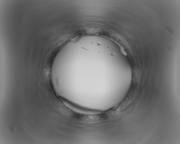 X0000110950329200907101312