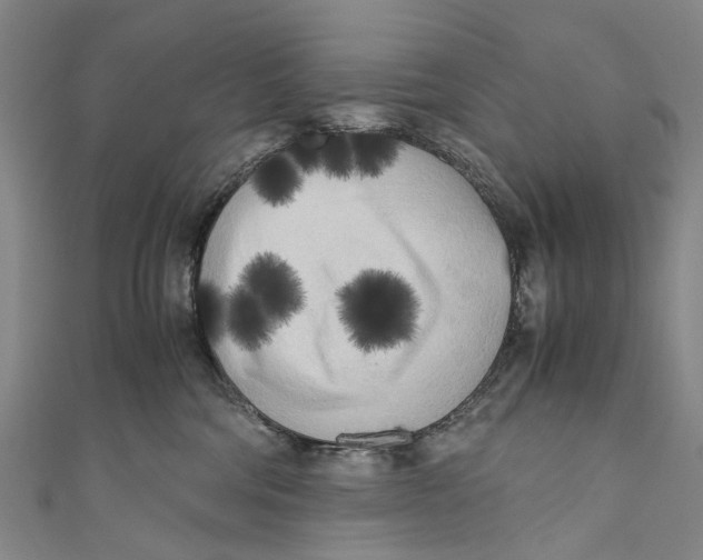 X0000110950330200907101312