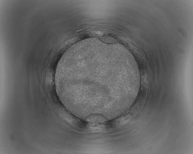 X0000110950331200907101312