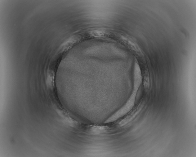 X0000110950332200907101312