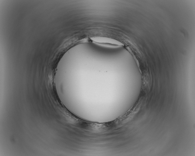 X0000110950333200907101312