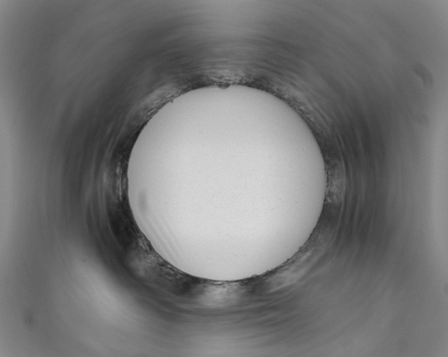 X0000110950334200907101312