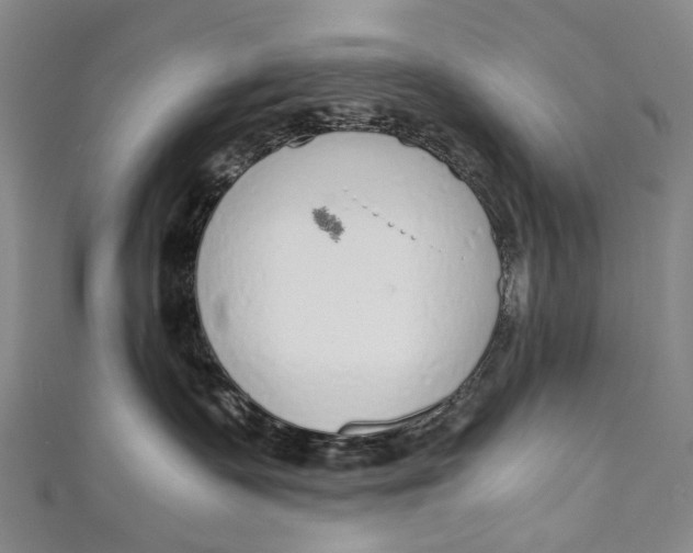 X0000110950335200907101312