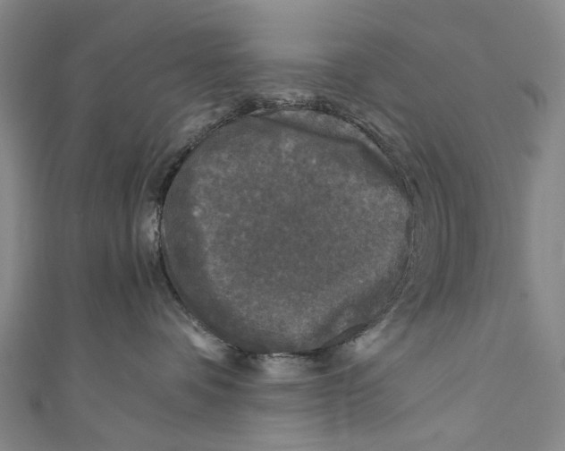 X0000110950336200907101312