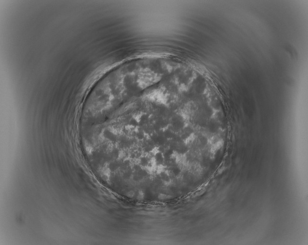 X0000110950337200907101311