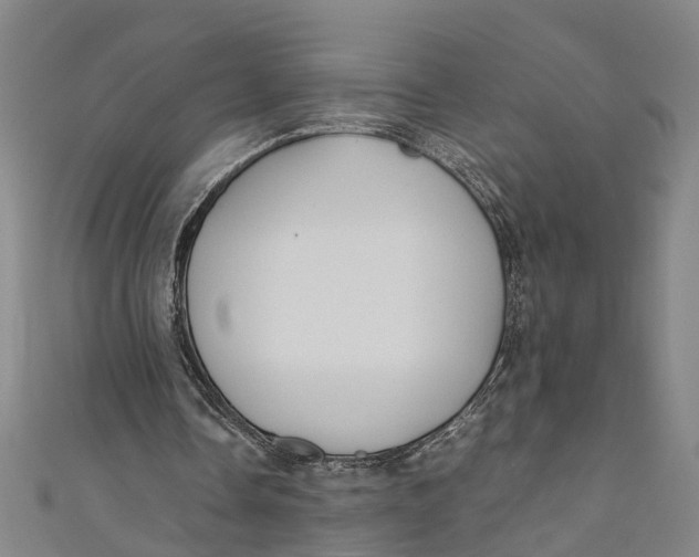 X0000110950338200907101312