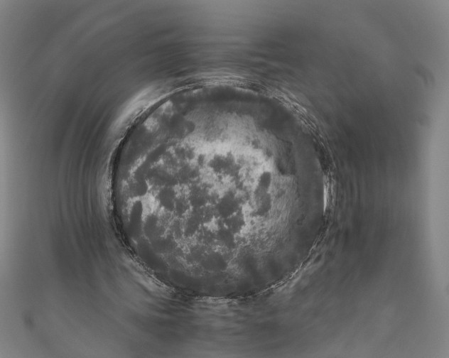 X0000110950339200907101312