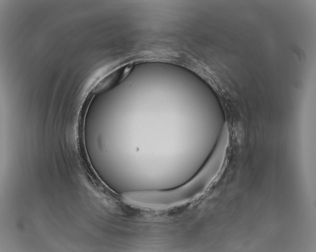 X0000110950340200907101312