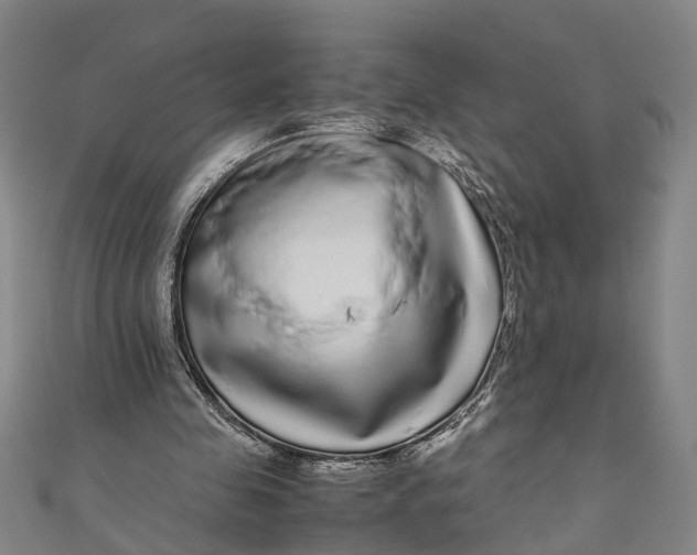 X0000110950341200907101312